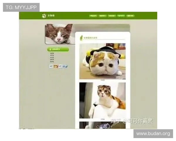 MK体育网页入口最新登录指南帮助玩家轻松进入官方平台体验丰富体育赛事内容 MK体育网页入口最新登录指南帮助玩家轻松进入官方平台体验丰富体育赛事内容