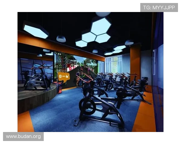 乐动体育网页登录界面优化提升用户体验的设计理念与操作便捷性分析