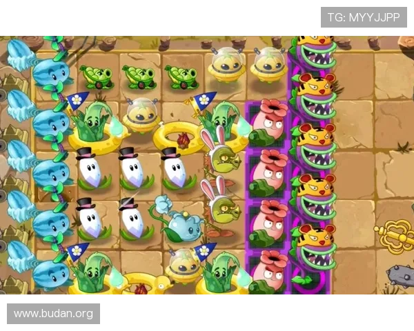 九博国际游戏种类全面介绍，满足不同玩家的多样化娱乐需求